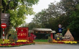 Hà Nội sắp có Lễ hội hoa Xuân lớn nhất miền Bắc