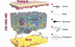 Qua tuổi 25, bạn không thể quá tự tin với làn da của mình