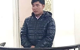 Làm giả giấy tờ, bán ôtô của người khác lĩnh 11 năm tù