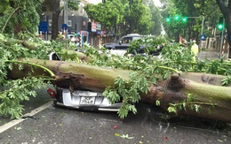 Bão số 1 qua Hà Nội: Cây đè bẹp ô-tô, gió thổi bay người và xe máy