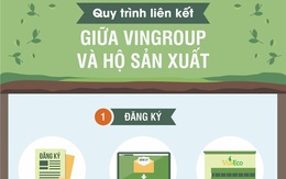 Mục sở thị mô hình liên kết nâng chất nông sản Việt