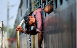 Ấn Độ: Nắng nóng 49,5 độ C khiến 135 người chết