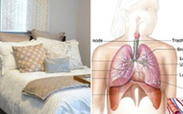 Làm ngay 8 việc này trong phòng ngủ để tránh rước bệnh vào thân
