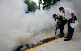Dịch Zika ngày càng lan rộng, người dân sống trong thấp thỏm lo âu