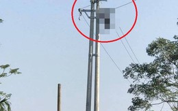 Người đàn ông bị điện giật cháy khô trên cột điện cao thế