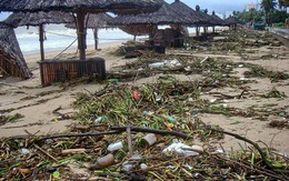 Bãi biển đẹp nhất thế giới xác xơ sau lũ