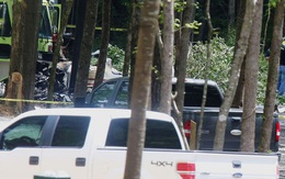 Mỹ: 3 cặp vợ chồng chết thảm do máy bay vướng vào cây, 11 đứa trẻ rơi vào cảnh mồ côi