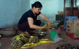 Hạt dẻ đồi giá cao vẫn cháy hàng