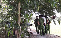 Bé trai 2 tuổi tử vong sau khi mất tích bí ẩn trên võng
