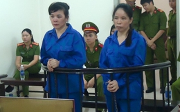 Hai chị em lĩnh án vì hám lợi 10 triệu đồng