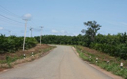 Hoàng Anh Gia Lai đủ điều kiện để ưu đãi không?