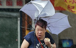 Người phụ nữ hút hàng nghìn fan nhờ ăn bánh bao giữa bão Megi