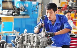Thạc sĩ giấu bằng, đi học trường nghề kiếm việc