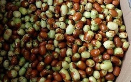 Táo tàu Hàn Quốc xách tay, 720.000 đồng/kg vẫn cháy hàng