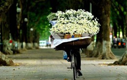 Tháng 11, miền Bắc sẽ chuyển rét nhiều, miền Trung khả năng lũ lớn