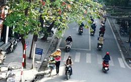 Miền Bắc nắng, Hà Nội chạm 30 độ trong tuần này