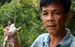 Bác nông dân không biết làm gì với con ếch 7 chân sau khi bắt được