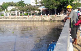 Nữ tạp vụ trường tiểu học nhảy cầu tự tử lúc rạng sáng