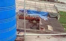 Kinh hoàng phát hiện xác chết đang phân hủy trên mái nhà