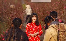 Điều thú vị của "cô gái vườn đào trên báo Tây" đang hot nhất những ngày cuối năm