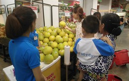 Đặc sản bưởi Phúc Trạch lên kệ hệ thống siêu thị VinMart Hà Nội