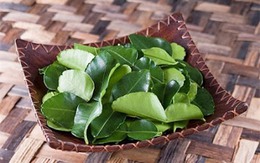 Cách trị nám da hiệu quả cấp tốc đón Tết