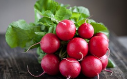 7 loại cây dễ trồng cho những người bắt đầu làm vườn