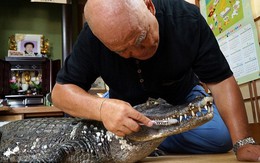 Cụ ông người Nhật đánh răng cho cá sấu suốt 34 năm
