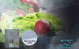 Tủ lạnh - Chìa khoá bảo quản thực phẩm tươi ngon và an toàn