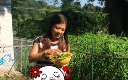 Rau trái 'khủng' trong vườn nhà Phạm Thanh Thảo ở Mỹ