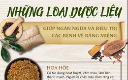 TS. Nguyễn Phú Hòa: Ngăn ngừa bệnh răng miệng, chăm sóc răng lợi từ gốc bằng dược liệu