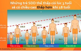 Người Việt thấp lùn do ăn mặn, thừa đạm, thiếu canxi