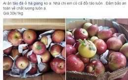 Mẹo vặt có khử độc được cho "táo đá mini Hà Giang"?