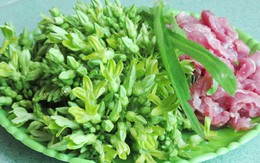 Công dụng chữa bệnh tuyệt vời của hoa thiên lý nhiều người chưa biết
