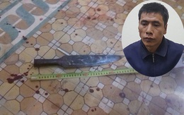 Nhậu về đâm bố mẹ vợ cũ thương vong