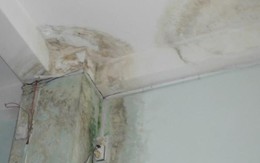 Thùng giấy chứa xương người trên trần nhà