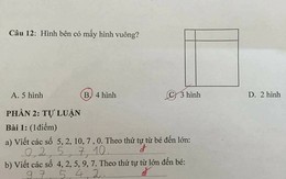 Bài toán đếm hình vuông 'cô hay trò sai' gây tranh cãi
