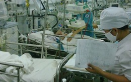 TP Hồ Chí Minh: Thêm một ca tử vong vì sốt xuất huyết