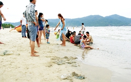 Đà Nẵng: Sứa đổ bộ “tấn công” người tắm biển