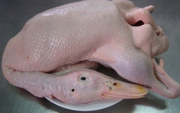 Bí quyết chọn vịt ngon và làm lông cực nhanh