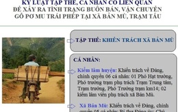 Vận chuyển gỗ pơ mu trái phép tại Yên Bái: Kỷ luật tập thể và 13 cán bộ liên quan