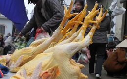 Cúm A/H7N9 cận kề, chuyên gia khuyên không ăn thịt gà mổ sẵn ở chợ