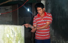 Nghi phạm giết vợ, phi tang xác sống trong những ngày ám ảnh