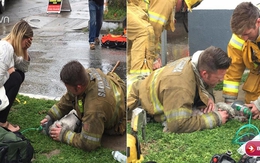 Hành động kỳ lạ của người lính cứu hỏa với chú chó hấp hối trong đám cháy khiến người xem bật khóc