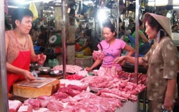 Sốc nặng: Giá lợn 10.000 đồng/kg, Hà Nội sẽ tiêu diệt bớt lợn nái