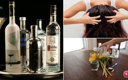 Hóa ra rượu vodka còn có hàng tá những công dụng “thần thánh” thế này đây