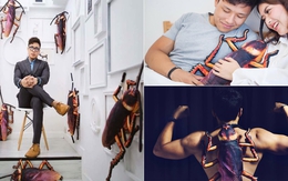 Dân mạng đua nhau "săn lùng" gối hình gián khổng lồ giống hệt như thật
