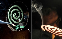 90% người dùng không biết lý do vì sao nhang muỗi lại có hình xoắn ốc