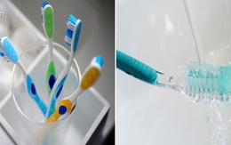 Rước cả ổ vi khuẩn vào người vì thói quen dùng bàn chải đánh răng sai lầm