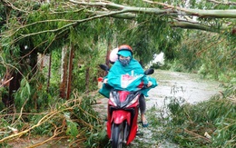 Nghệ An là địa phương bị thiệt hại nặng nhất trong cơn bão số 2